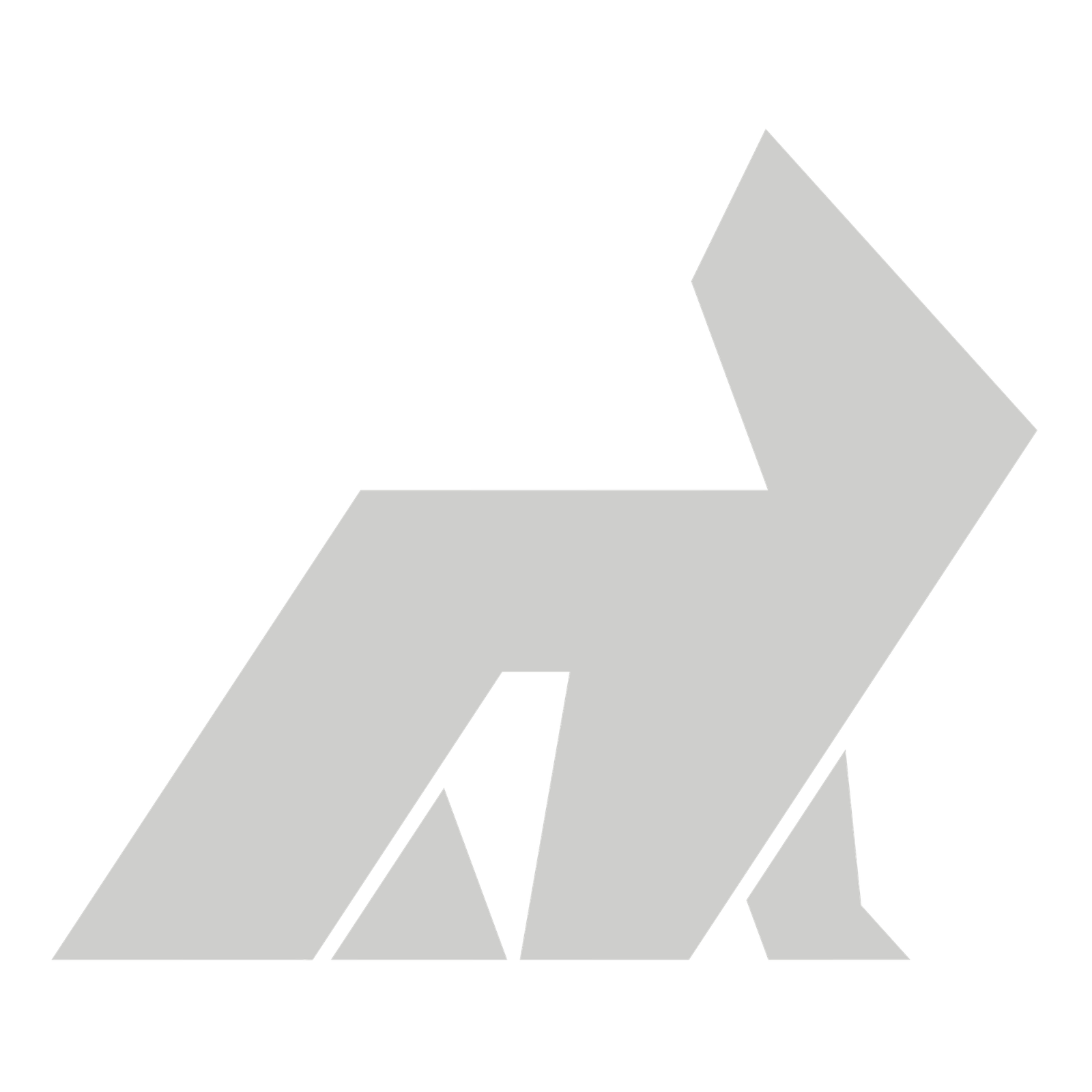 Arcticc Logo